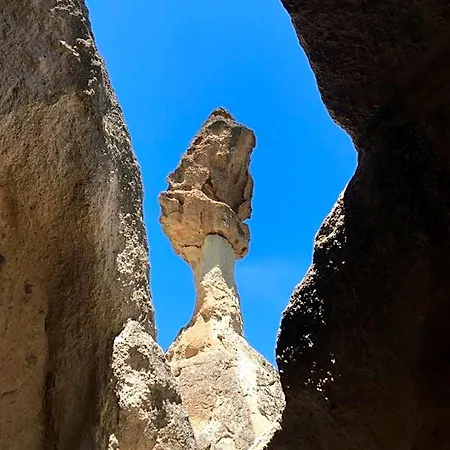 Bed & Breakfast Cappadocian Special House (adults Only)